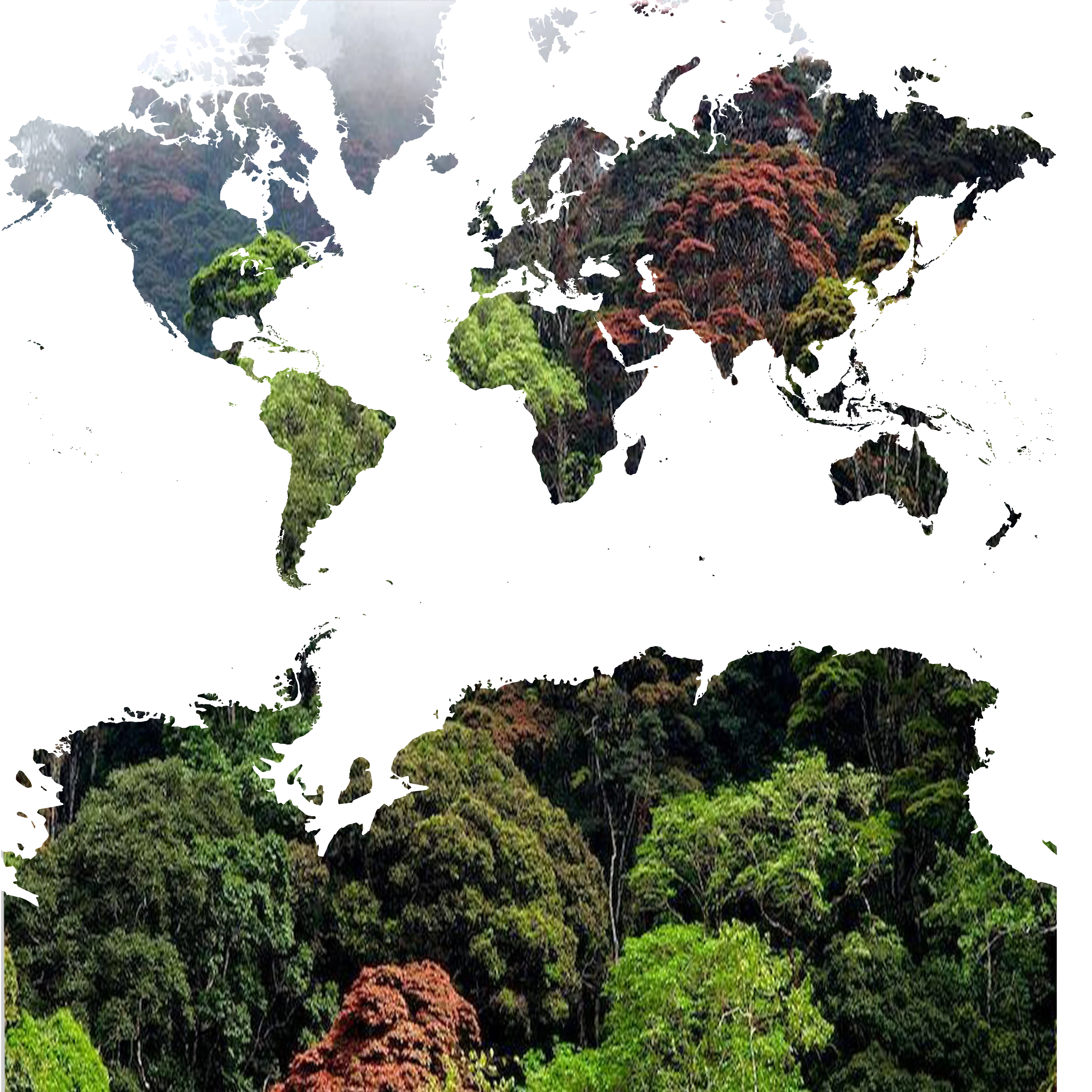 Global environmental protection programs