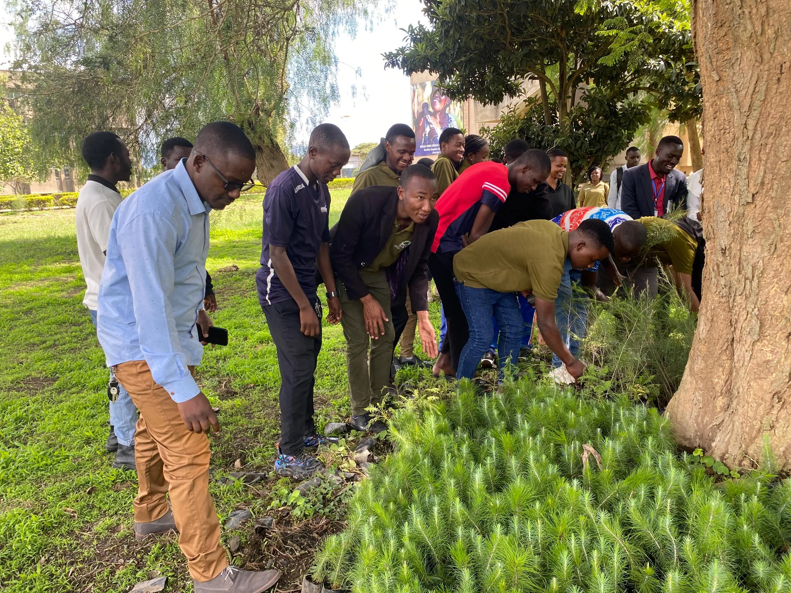 Climate action initiatives including renewable energy and carbon reduction