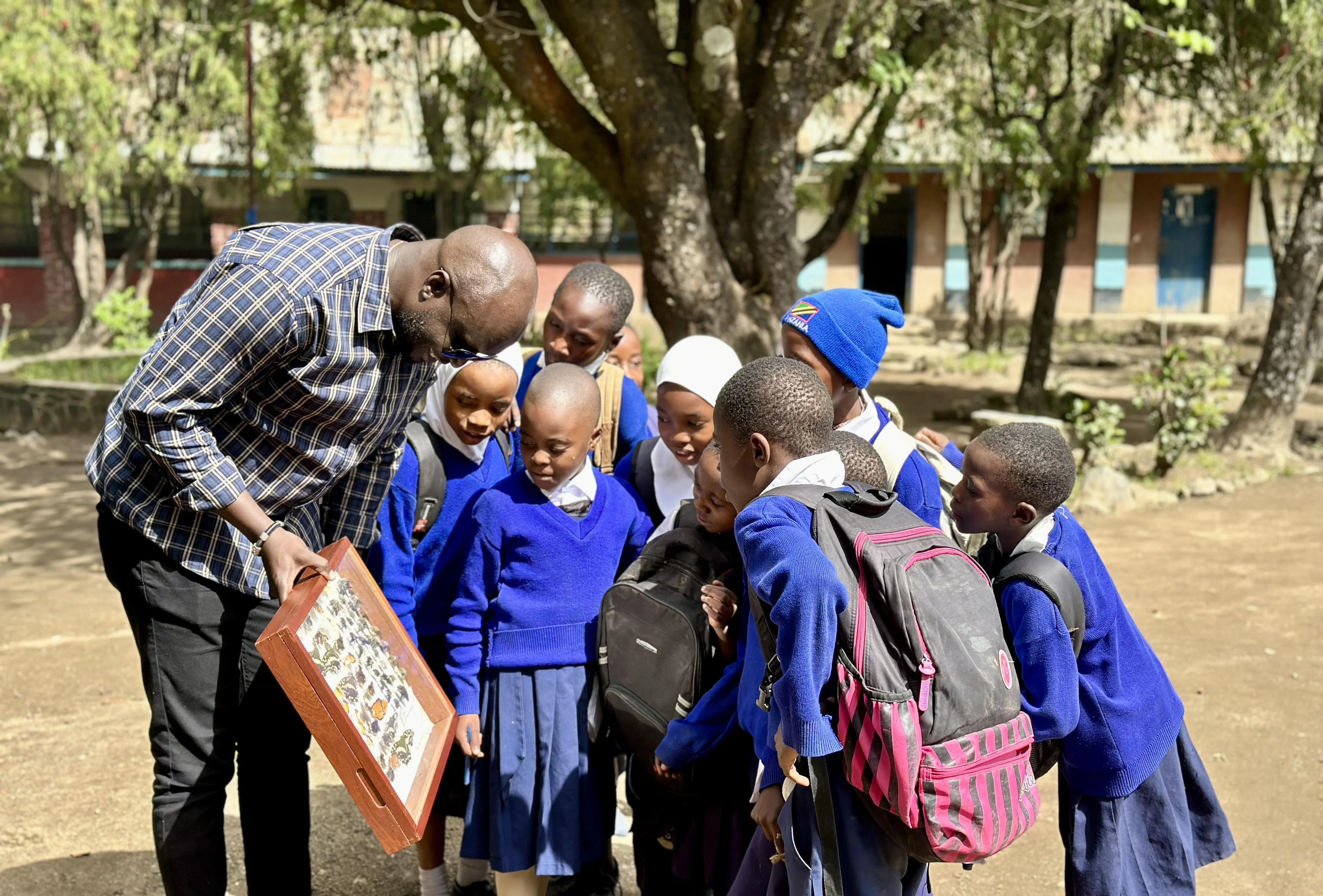 Educational programs and advocacy campaigns for environmental awareness